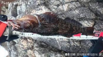 �����ʥ�