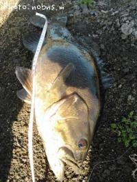 �֥�å��Х�