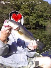 �֥�å��Х�