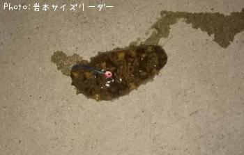 �ʥޥ�
