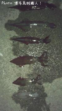 ��ꥤ�������󥵥�����