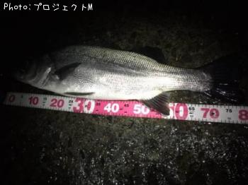 �ҥ饹����