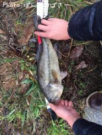 �֥�å��Х�