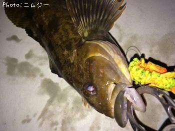 �����ʥ�