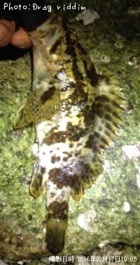 ¥¿¥±¥Î¥³¥á¥Ð¥ë