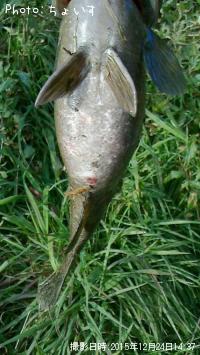 ¥¹¥â¡¼¥ë¥Þ¥¦¥¹