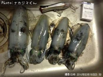 ¥¢¥ª¥ê¥¤¥«