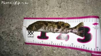 �����ʥ�