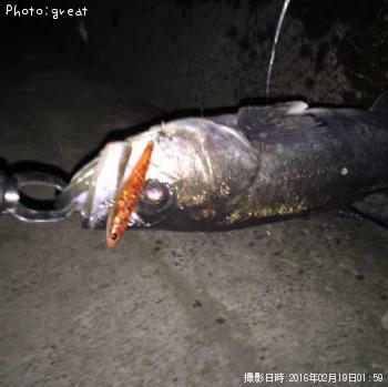 �����Х�