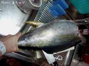 ����Хˡ��ڥ��ϥ��ޥ�����