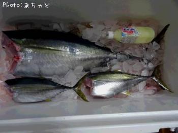 ����Хˡ��ڥ��ϥ��ޥ�����