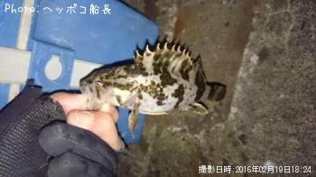 �����Υ���Х�