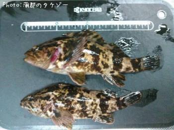 �����Υ���Х�