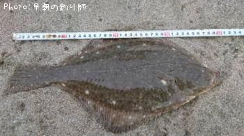 �������쥤