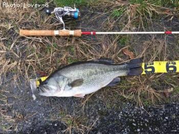 �֥�å��Х�