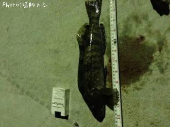 �����ʥ�