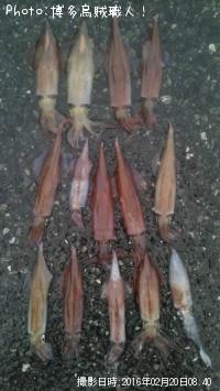 ��ꥤ�������󥵥�����