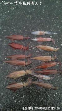 ��ꥤ�������󥵥�����