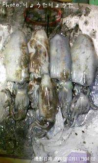 �����ꥤ��