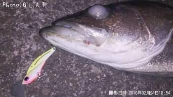 �����Х�