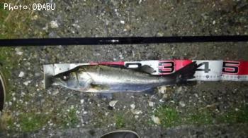 �����Х�