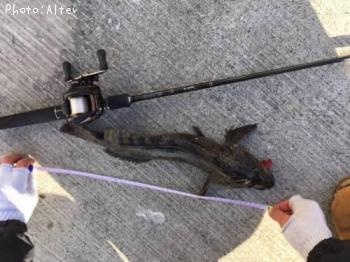 �����ʥ�