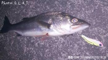 �����Х�