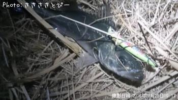 ��󥫡������Х�