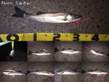 �����Х�