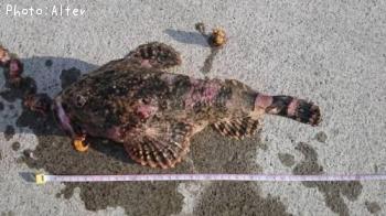 ����������