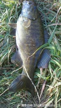 ���⡼��ޥ���