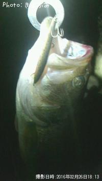 �֥�å��Х�