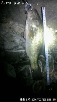 �֥�å��Х�