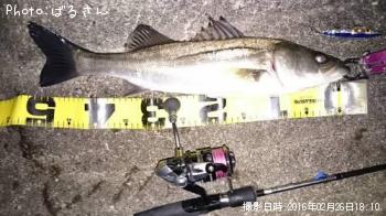 �����Х�