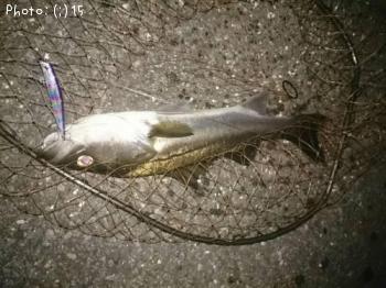 �����Х�