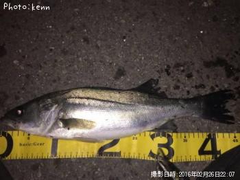 �����Х�