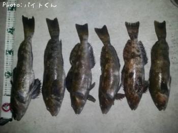 �����ʥ�