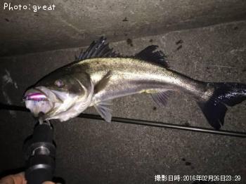 �����Х�