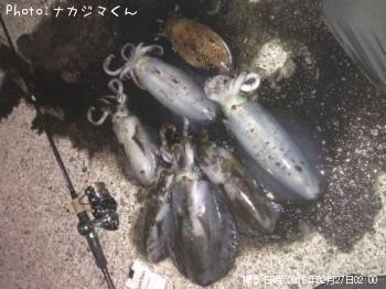 �����ꥤ��