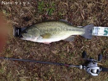 �֥�å��Х�