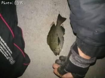 �������᥸��