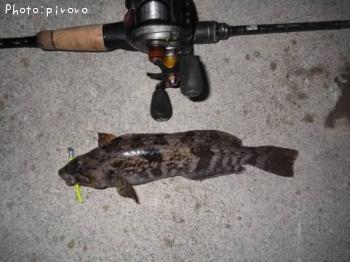 �����ʥ�