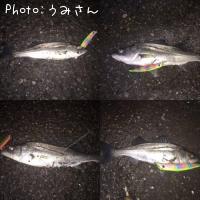 �����Х�