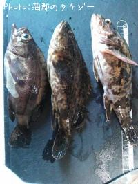 ¥¿¥±¥Î¥³¡¢¥á¥Ð¥ë