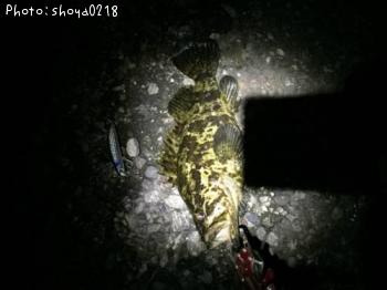 ¥¿¥±¥Î¥³¥á¥Ð¥ë¡©