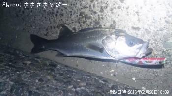 �����Х�