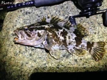 �����Υ���Х�