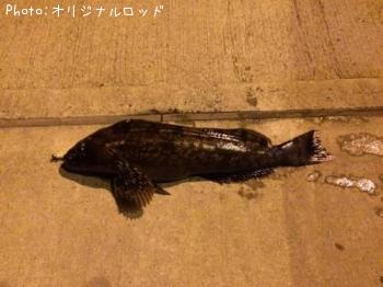 �����ʥ�