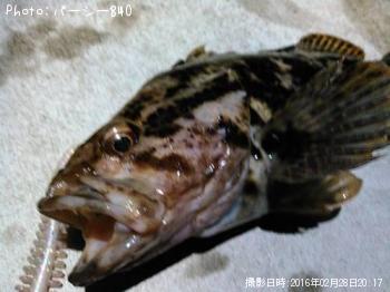 �����Υ���Х�