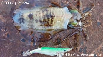 ¥¢¥ª¥ê¥¤¥«